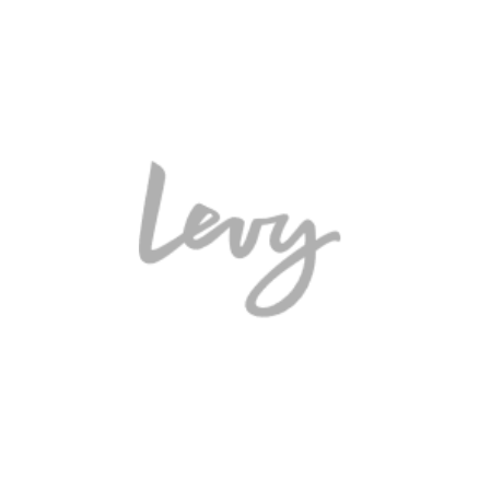 levy-cc-logo-grey